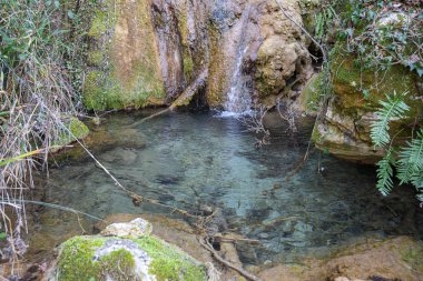 Castel 'deki Vallocchie şelalesi yakınlarındaki resimli orman manzarası
