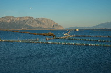 Mesologgi Gölü 'nde tekneleri olan güzel bir manzara.