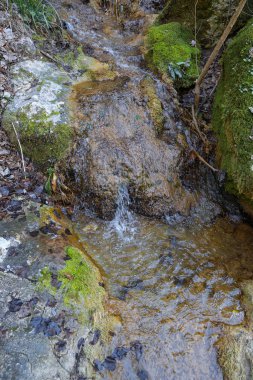 Castel 'deki Vallocchie şelalesi yakınlarındaki resimli orman manzarası