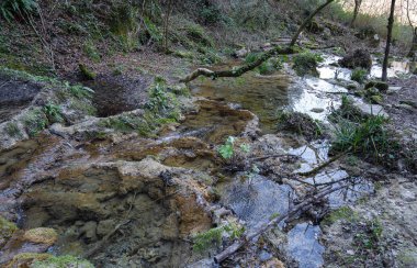 Castel 'deki Vallocchie şelalesi yakınlarındaki resimli orman manzarası