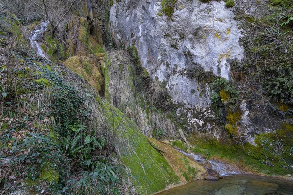 Schilderachtig boslandschap bij de Vallocchie waterval in Castel — Stockfoto