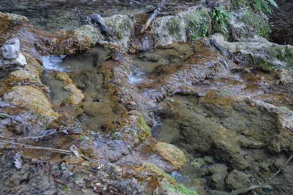 Festői erdő táj közelében Vallocchie vízesés Castel — Stock Fotó