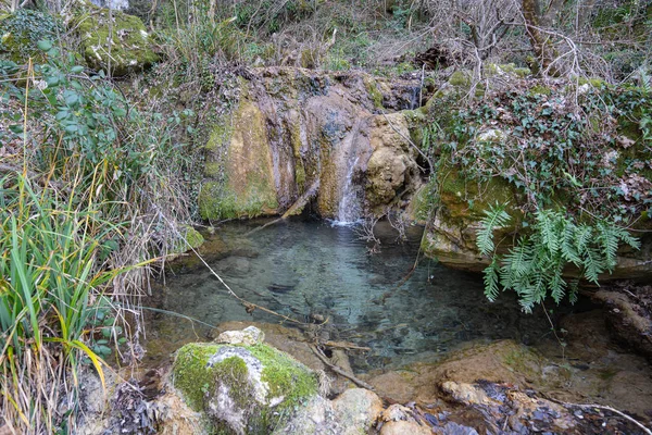 Pittoresco paesaggio boschivo vicino alla cascata Vallocchie a Castel — Foto Stock