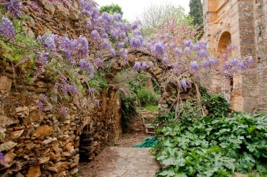 Yunanistan 'ın Atina yakınlarındaki dağlarda Kesariani antik manastırının kalıntıları
