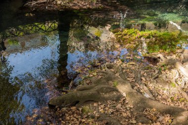 Nehirli sonbahar manzarası, Livadia, Yunanistan