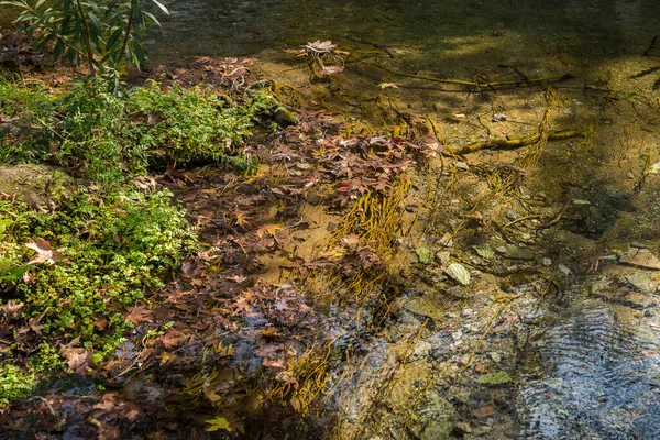 Paysage Automne Avec Rivière Livadia Grèce — Photo