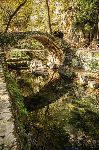 Herfstlandschap Met Rivier Brug Livadia Griekenland — Stockfoto