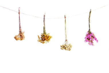 three bouquets of dried flowers on a white background clipart