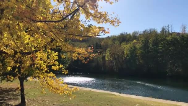 Парк, деревья, разноцветные листья, дующие ветром и солнечный свет в воде, осенний фон, концепция осени — стоковое видео