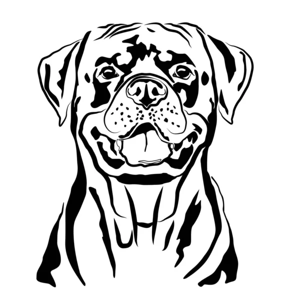 Esquema del contorno del retrato principal, boceto de la silueta alemana Rottweiler vector ilustración — Archivo Imágenes Vectoriales