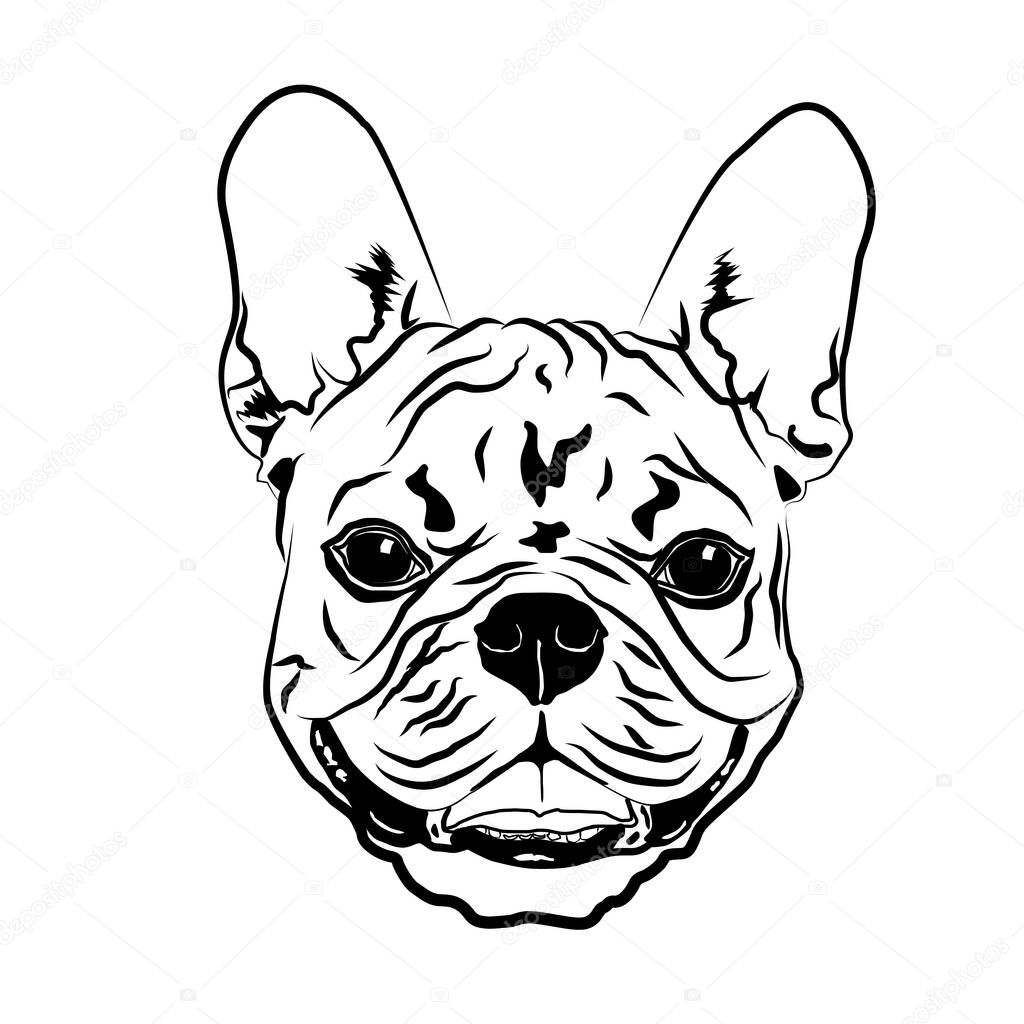 Head portrait contour outline, sketch of French Bulldog dog silhouette vector illustration