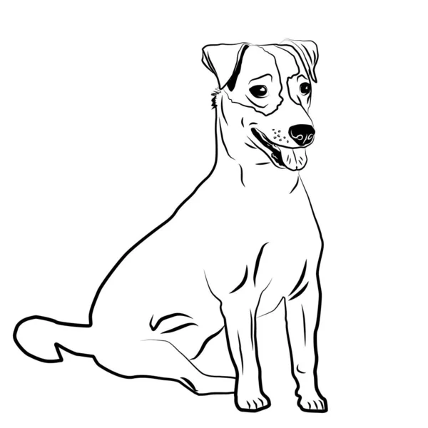Jack Russell teriér štěně pes portrét obrys obrys, skica izolované vektorové ilustrace. — Stockový vektor