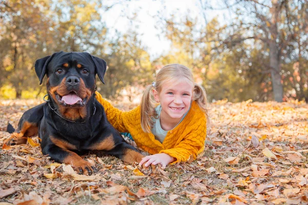 Joven linda niña rubia y su perro alemán Rottweiler acostado y posando en hojas de otoño. Amistad, mascotas y niños . — Foto de Stock
