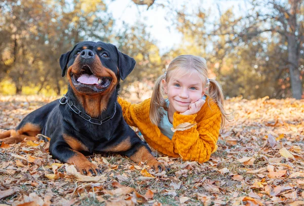 Joven linda niña rubia y su perro alemán Rottweiler acostado y posando en hojas de otoño. Amistad, mascotas y niños . — Foto de Stock