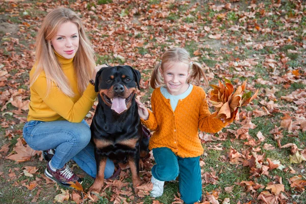 Güzel mutlu aile Rottweiler köpeğiyle eğleniyor. Sarışın, sevimli anne ve kızı köpeklerini kucaklıyor.. 
