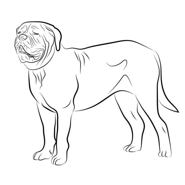 Dogue de Bordeaux, Burdeos Mastiff, francés Mastiff, Burdeos. Ilustración aislada del vector de contorno del logotipo — Archivo Imágenes Vectoriales