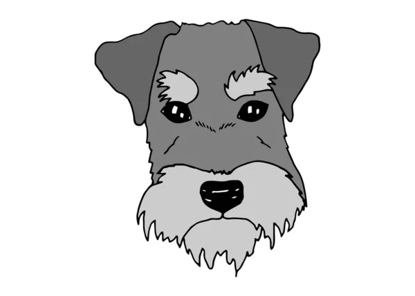 Schnauzer Dog Portrait. Psí plemeno ručně kreslené vektorové ilustrace. — Stockový vektor