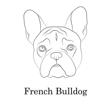 Sevimli geyik yavrusu Fransız Bulldog kafa portresi. Üreme standardı. Logo web sitesi kulübesi. Doğrusal kontur vektör çizimi.