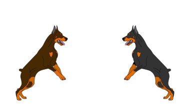 Logo için zıplayan doberman köpekleri, dizayn için evcil hayvanlar, köpek gösterisi kataloğu, köpek logosu çizimi