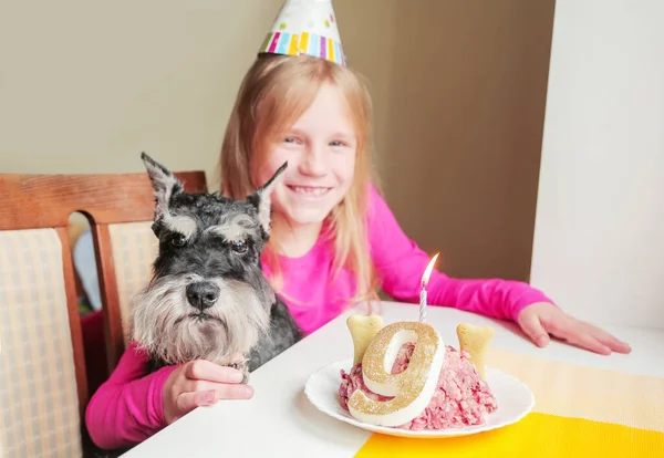 Šťastná blonďatá dívka slaví své psí miniaturní knírač narozeniny. Party, dort, přátelství. — Stock fotografie