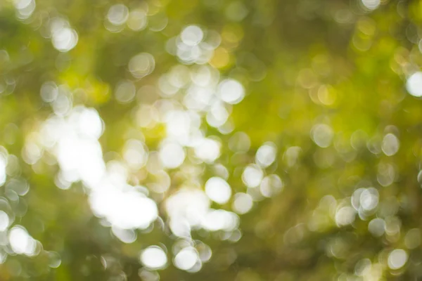 Natural green blurred background. Defocused green blurred backgr — Stock Photo, Image