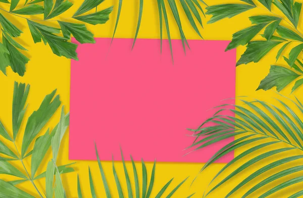 Tasarımınız için boş kağıt ile tropikal palmiye yaprakları sarı 