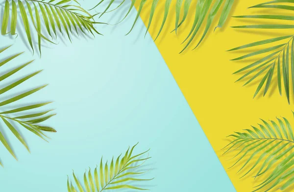 Feuilles de palmier tropicales sur fond jaune et bleu clair. Minima — Photo