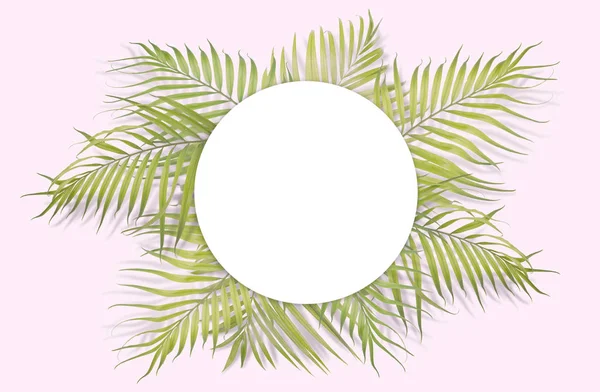 Tropical palm leaves with white paper on pink background. Minima