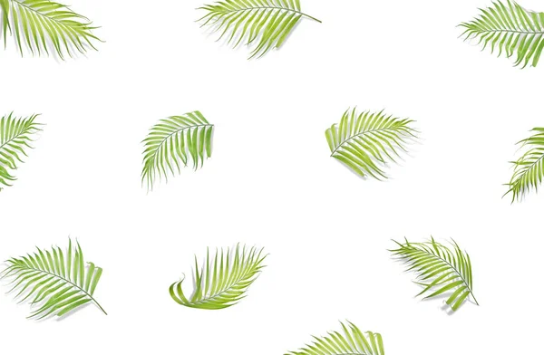 Palm bladeren geïsoleerd op witte achtergrond. Bovenaanzicht. Plat leggen — Stockfoto