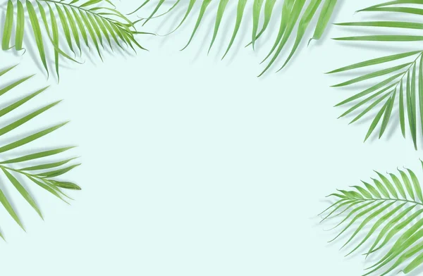 Tropische Palmenblätter auf hellblauem Hintergrund. Minimale Natur. s — Stockfoto