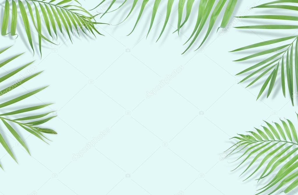 Tropical palm leaves on light blue background. Minimal nature. S