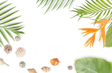 Beyaz arka plan üzerinde tropikal yaprak çerçeve ile deniz kabuklarını. Yaz