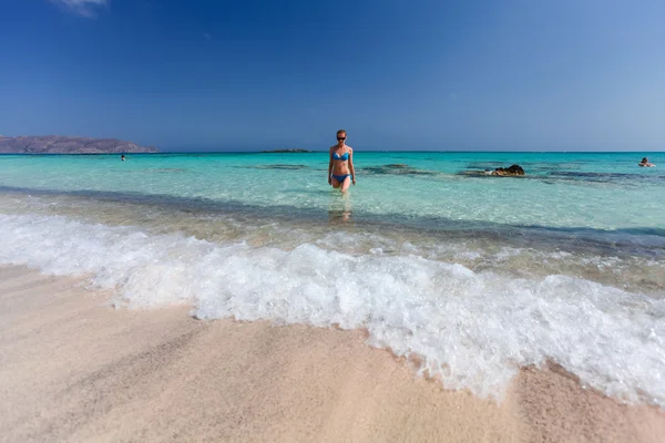 Yunanistan'da Girit adasının sahili. Pembe kum ile Elafonisi (veya Elafonissi) plajı. Libya Denizi ( Akdeniz'in bir parçası)