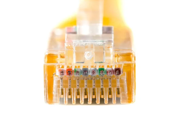 Kabelkopf Kopf Rj45 Netzwerk Rj45 Stecker Vereinzelt Nahaufnahme — Stockfoto