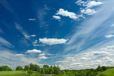 Yeşil çim ve ağaç tepe ve arka plan beyaz bulutlar ile gökyüzü mavi