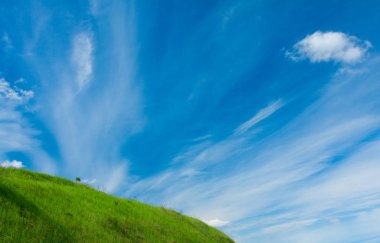 Yeşil çim ve ağaç tepe ve arka plan beyaz bulutlar ile gökyüzü mavi