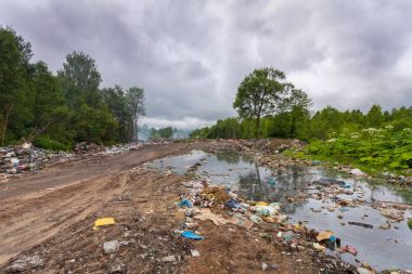 Çöplük alan veya ev çöp ve kirletici ve orman ortamında zehirlenmesi kirli su çöpe atın. Kirliliği kavramı Earth.