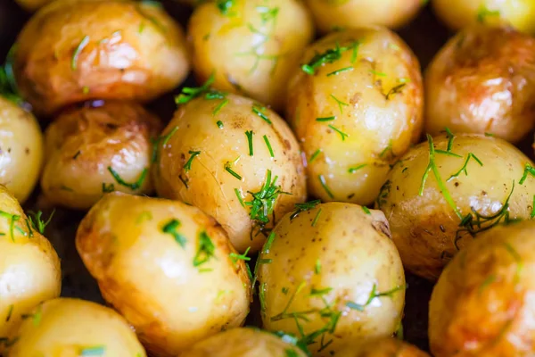 Fırında patates (Kumpir) bütün derileri ayçiçek yağı ve dereotu kahverengi oluncaya kadar. Yakın çekim.