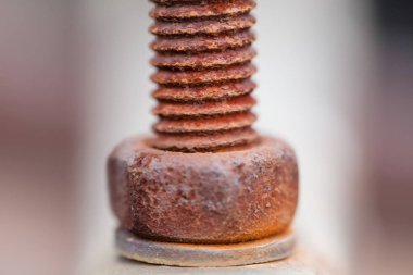 Yakın çekim resmin eski paslı vida ve cıvata ile yüzey çelik arka plan bulanık