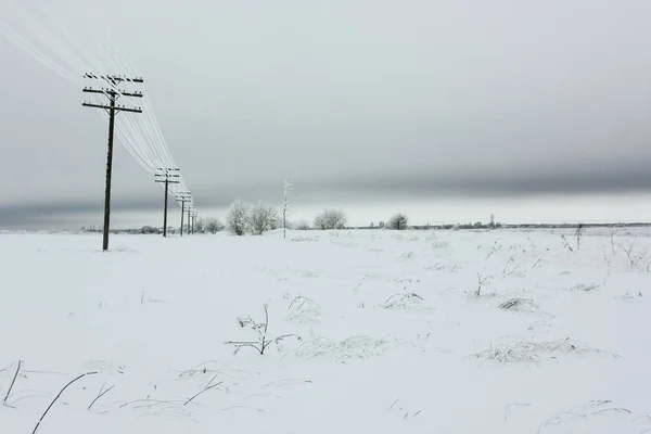 Líneas eléctricas con escarcha en los postes eléctricos de madera en el campo en el invierno — Foto de Stock