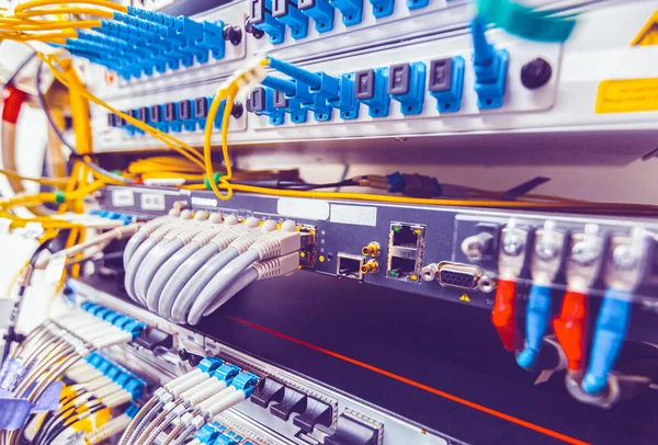 Unfocused image as background of Information Technology Computer Network, Telecommunication Ethernet Cables Connected to Internet Switch. Network switch and ethernet cables,Data Center Concept. — Stock Photo, Image