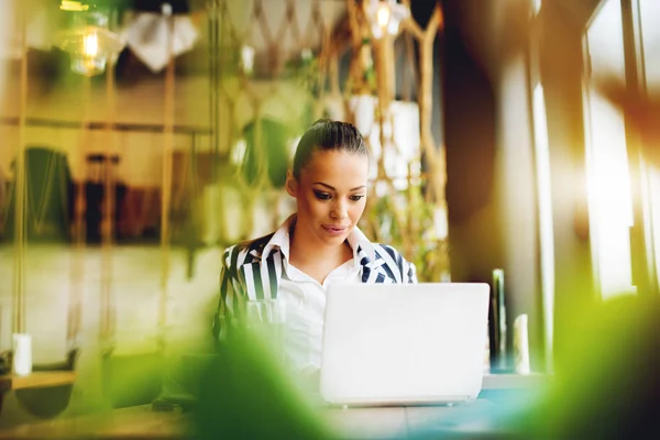 Vrouw werkt met laptop — Stockfoto