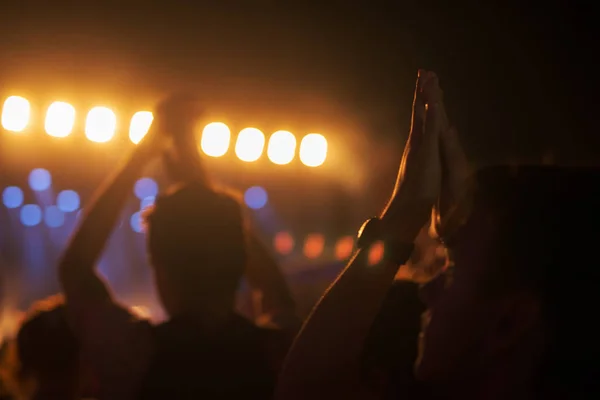 Az emberek a zenei fesztivál sziluettek — Stock Fotó