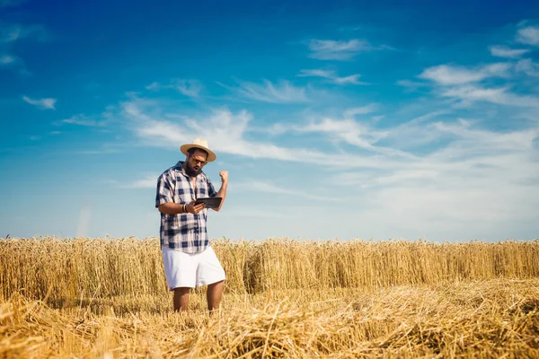 Modern farmer with tablet — Stock Photo, Image