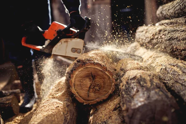 Homem corte de madeira com motosserra — Fotografia de Stock