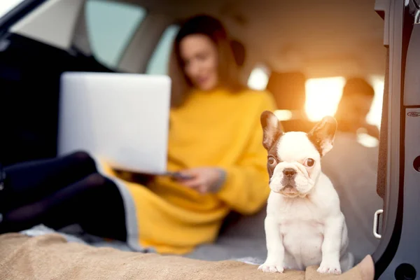 Valp och kvinnan sitter i bilen stammen — Stockfoto