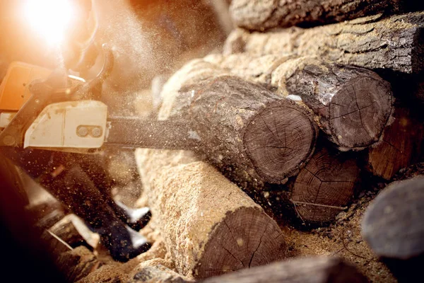 Homem corte de madeira com motosserra — Fotografia de Stock