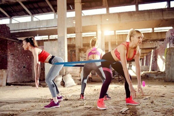 Mujeres atractivas haciendo ejercicio —  Fotos de Stock
