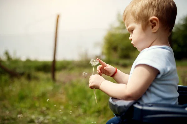 Bébé garçon jouer avec le pissenlit — Photo