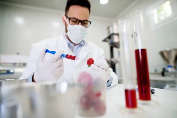 Médico fazendo experimentos com transgênicos em laboratório — Fotografia de Stock